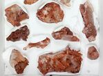 Lot: Natural, Red Quartz Crystal Clusters - Pieces #101500-1